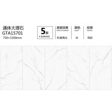 通體大板GTA15701定制